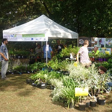 La folie des plantes