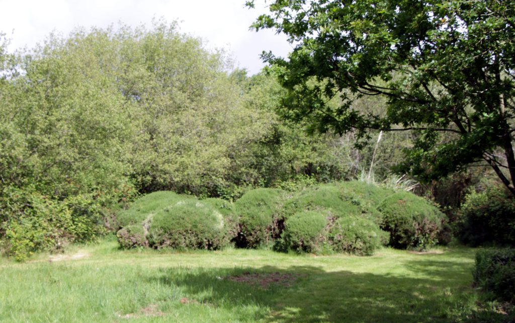 Jardin en mouvement