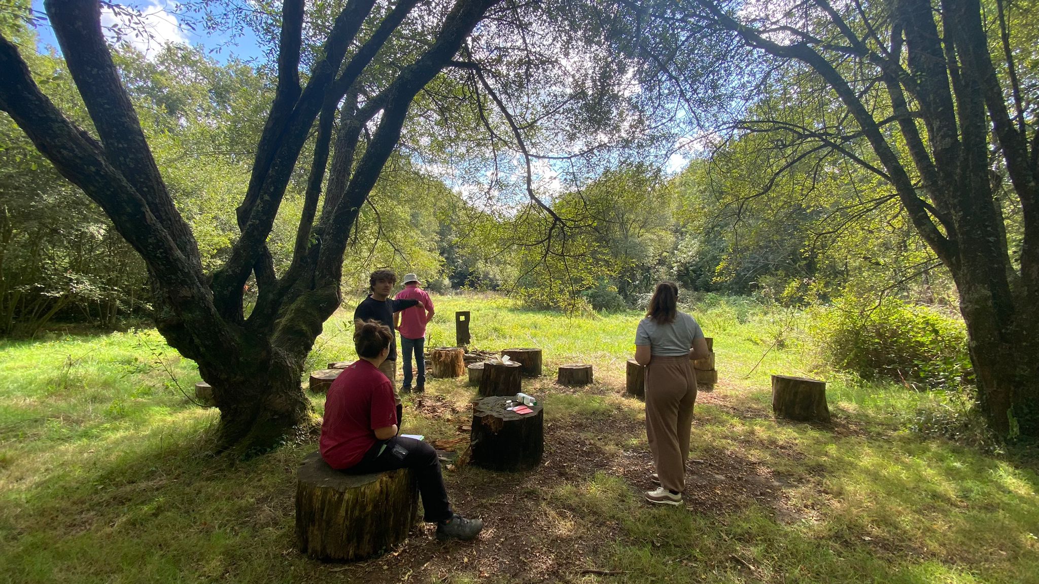 Retrouvailles avec le jardin en mouvement