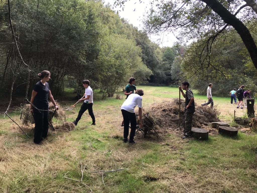 Jardin en mouvement