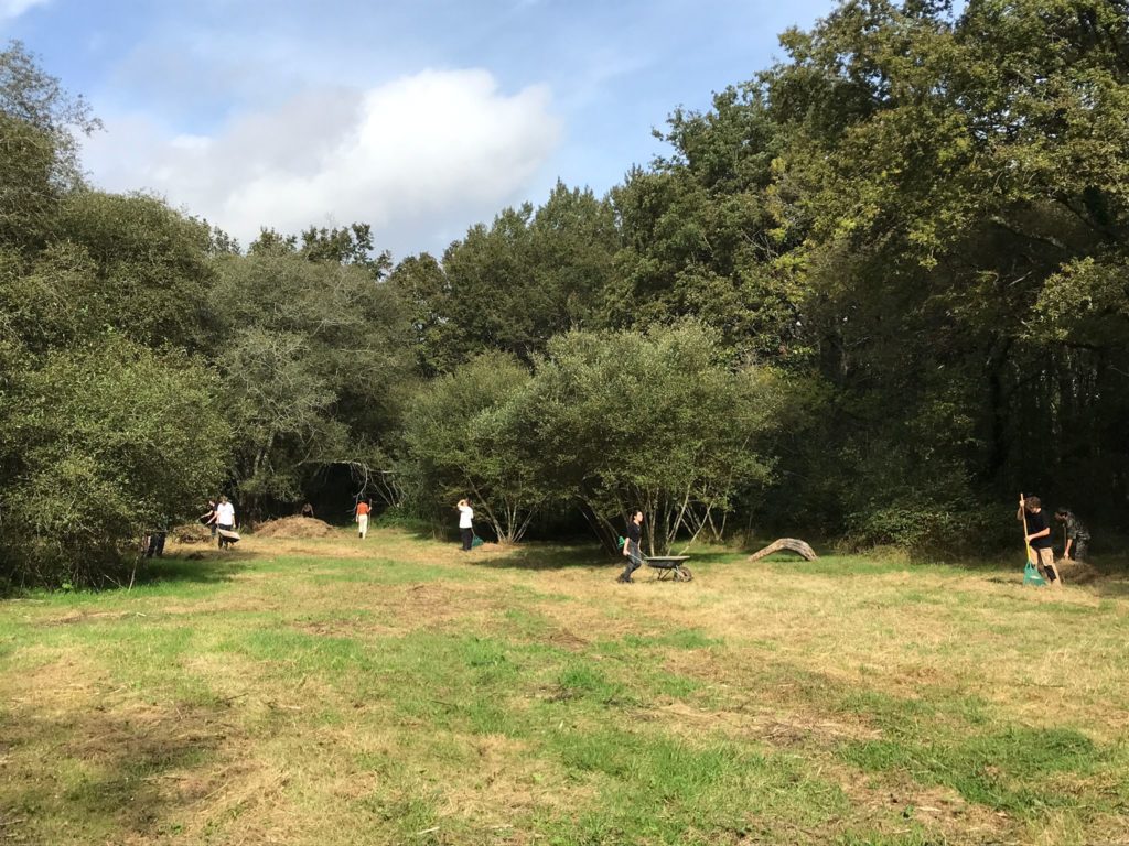 Jardin en mouvement