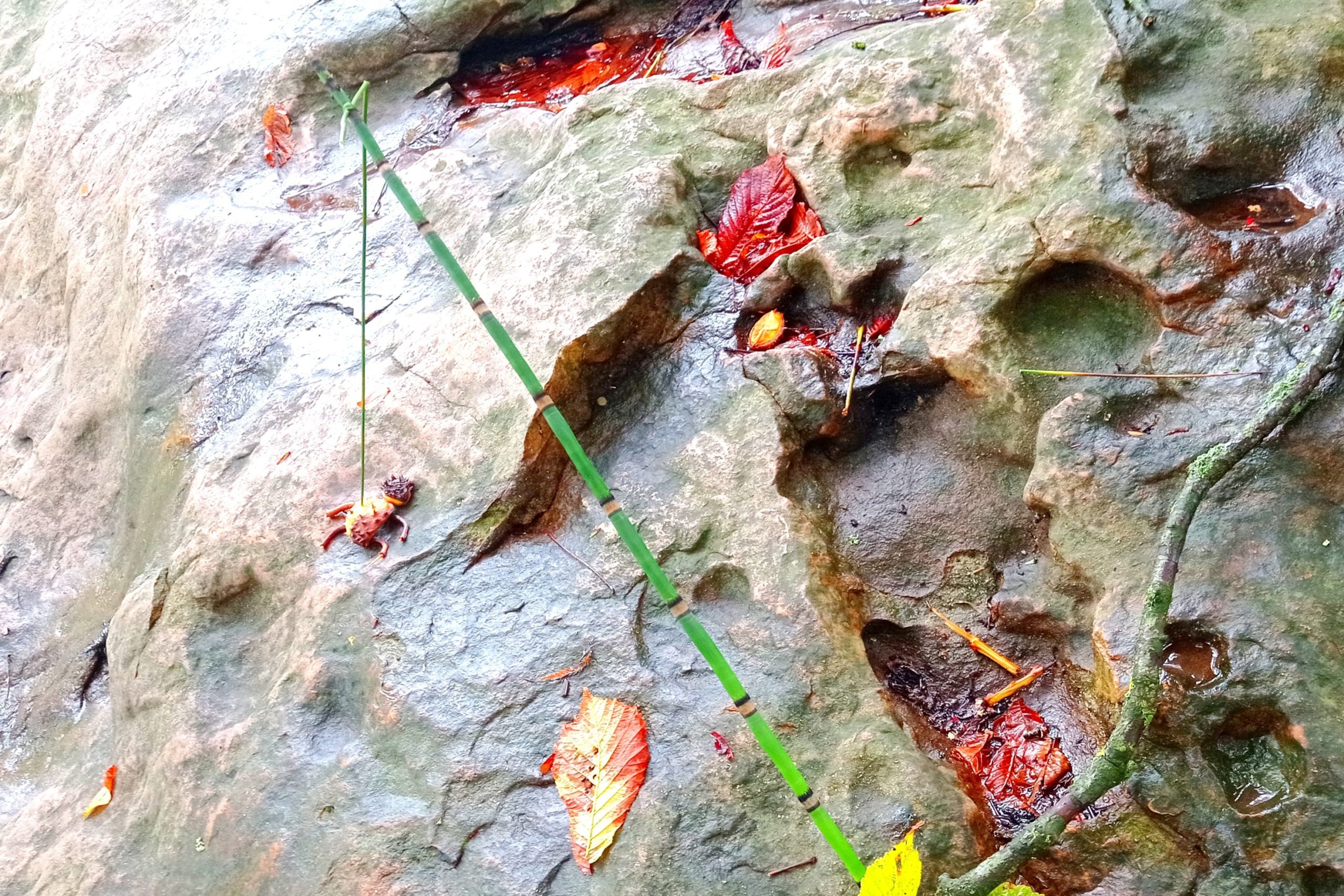 Le Land Art