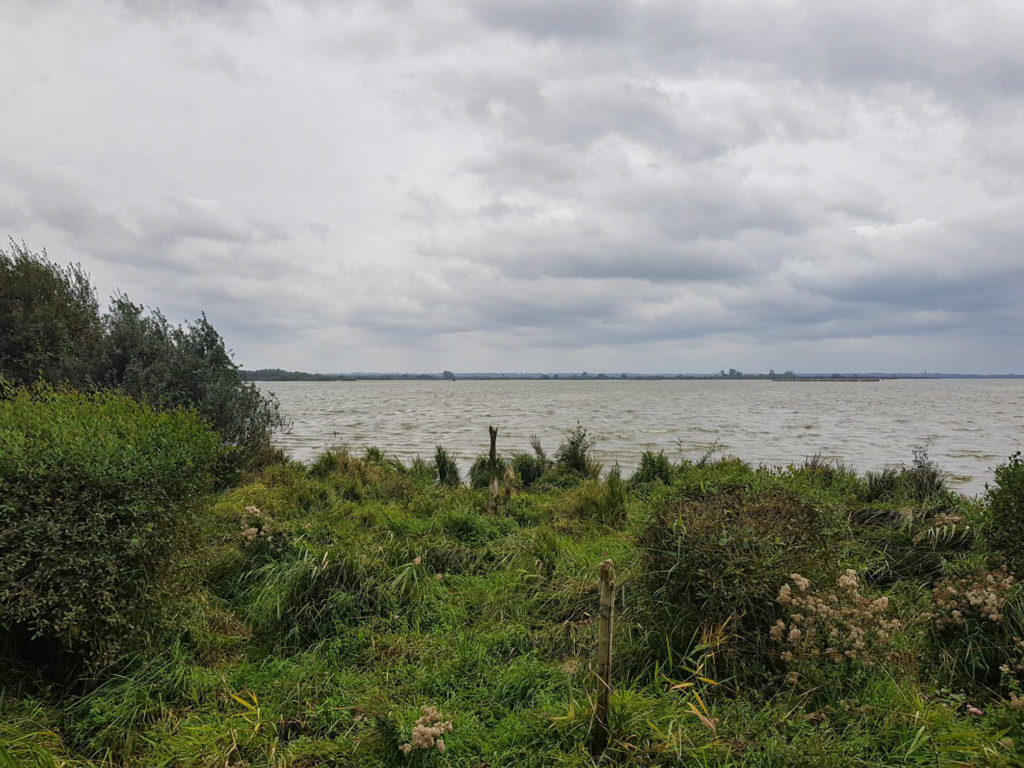 Lac de grand lieu