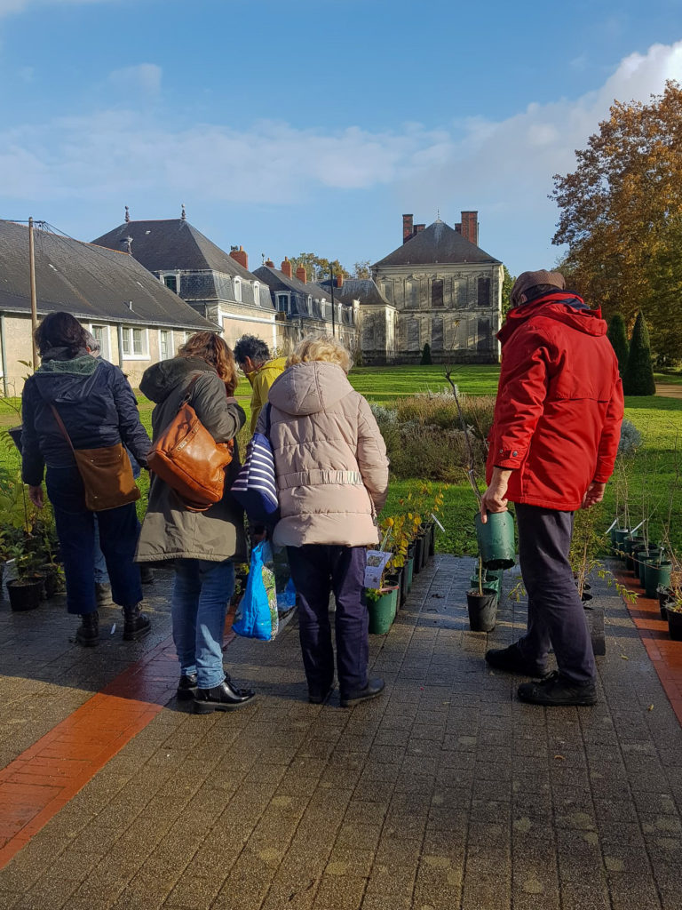 vente d'automne