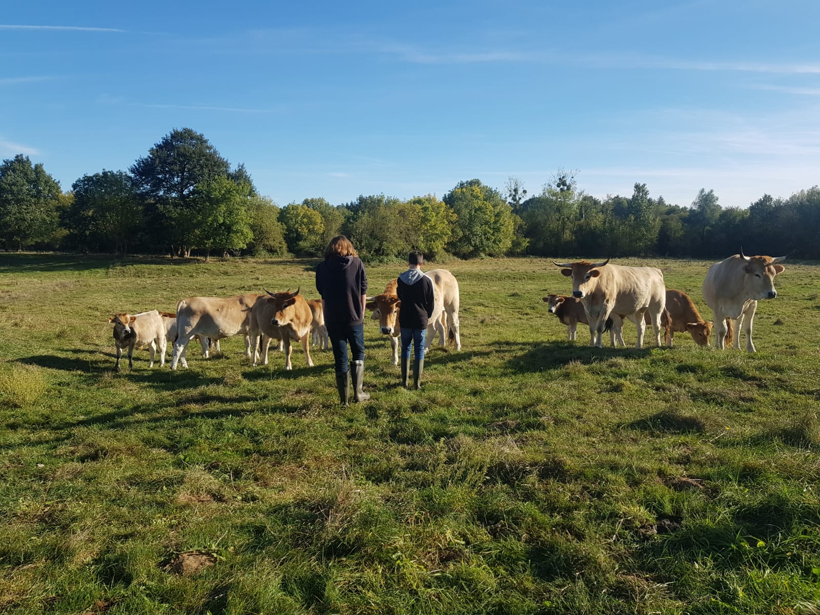 Sortie à la Ferme des Genettes