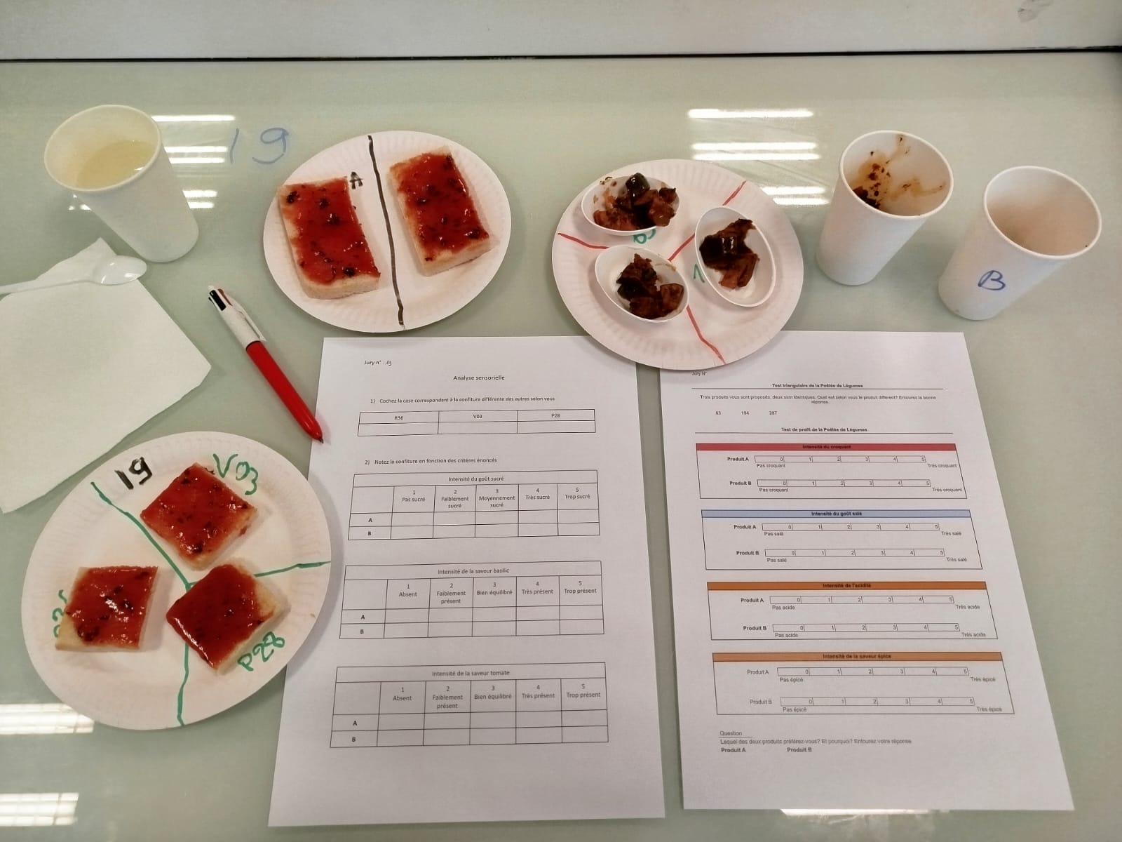 Analyse sensorielle avec les BTS BIOQUALIM