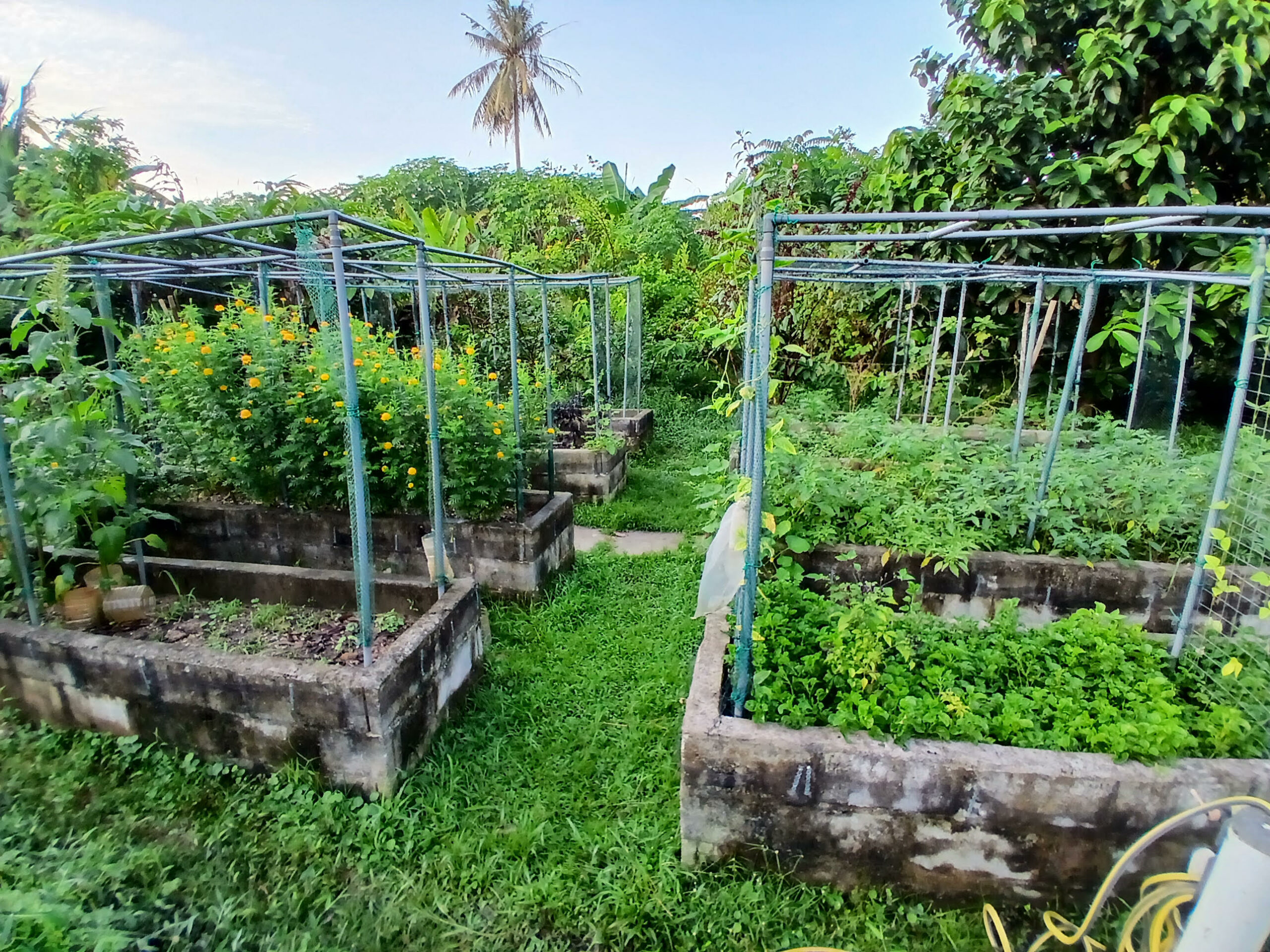 Un stage en Malaisie