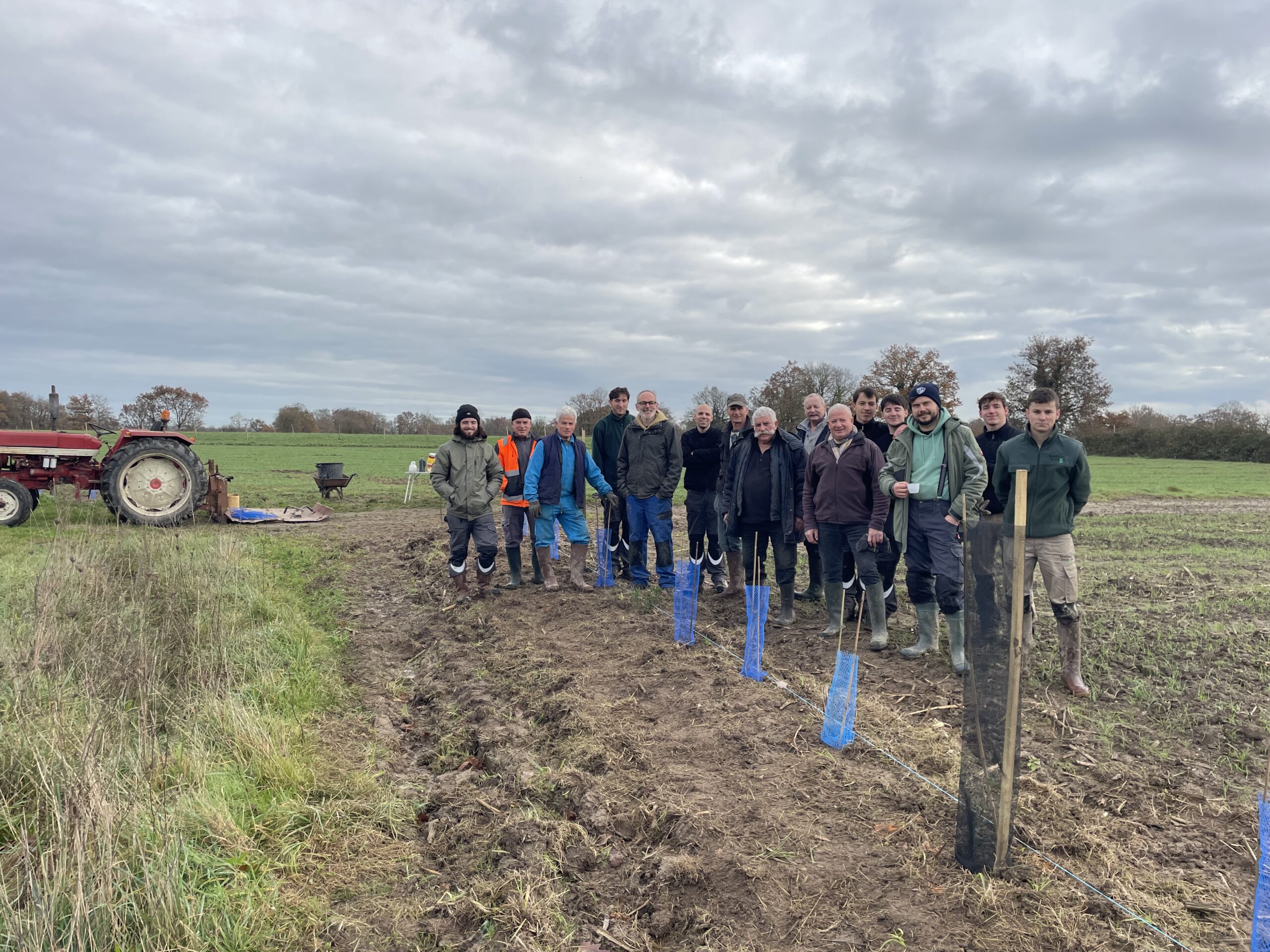 Plantation d’une haie