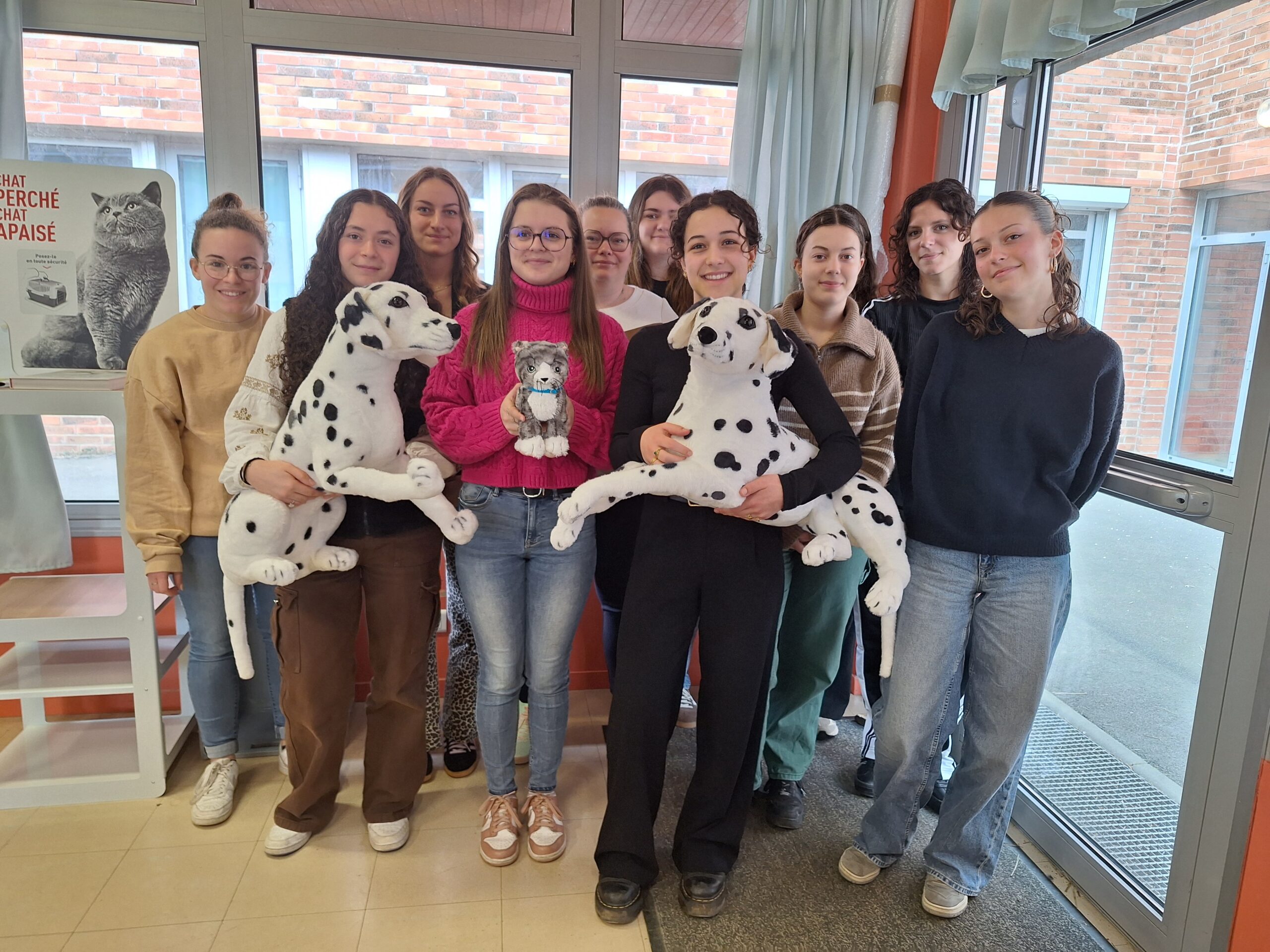 Des nouvelles de nos apprentis ASV !