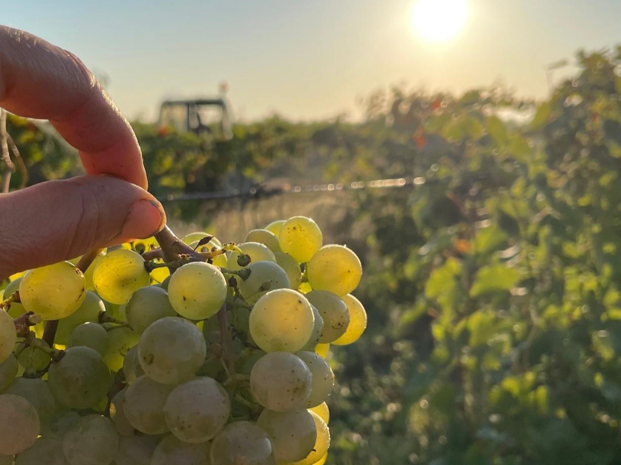 Terroir’s Tour 2025