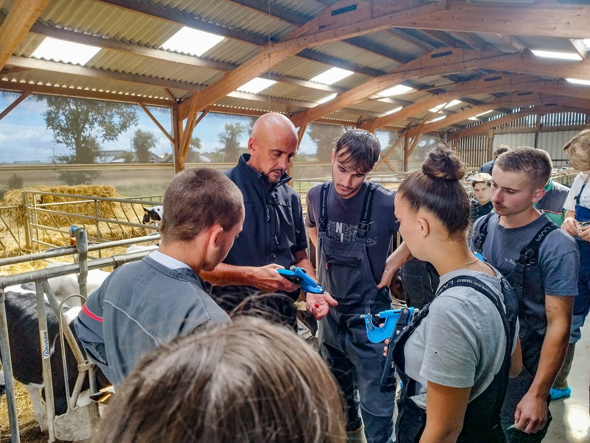 Les BP REA 2 en immersion