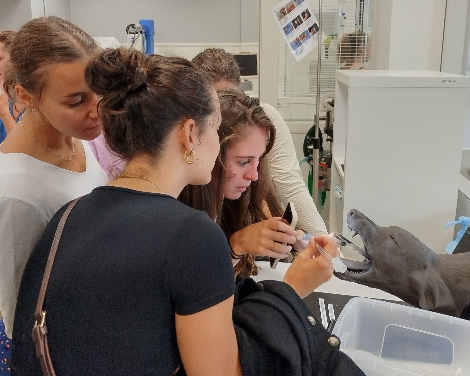 Les apprentis ASV en immersion à Oniris