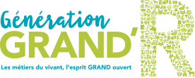 Logo generation grand R