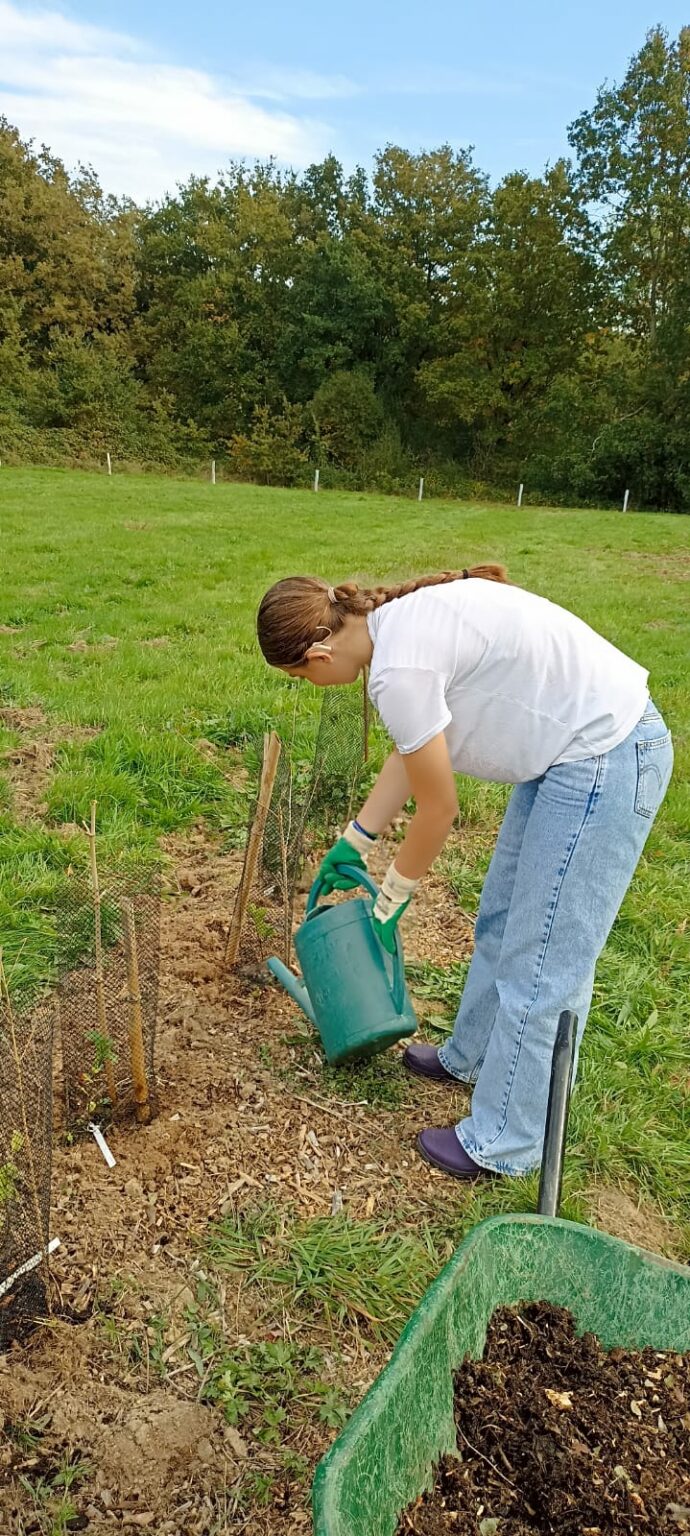 Octobre-Plantation-theiers-JR-ecoresponsable-5-690x1536
