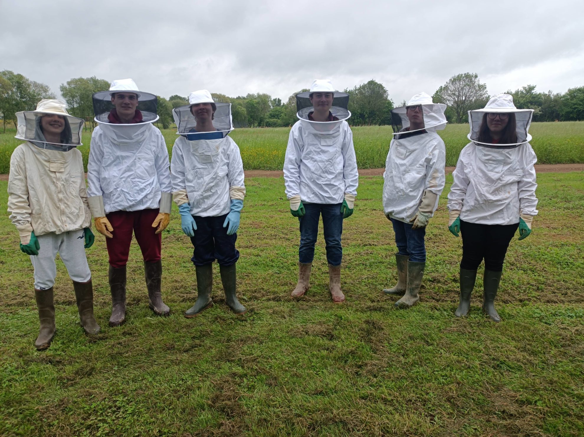 developpement_durable_abeille_apiculture-1980x1481